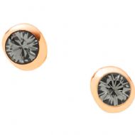 Joyas marcaPendientesDKNY JEWELRY ORGANIC