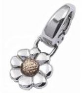 Joyas marcaAbaloriosJOYERIA FOSSIL JEWEL BAR